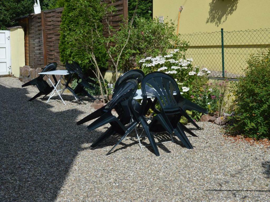 Ferienwohnung Au Petit Bonheur Thannenkirch Exterior foto